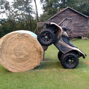 Meet your Posher, Adley